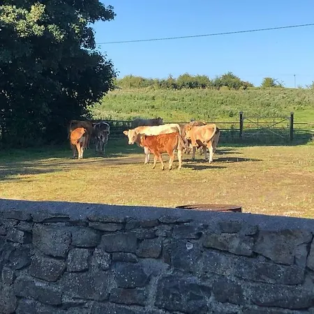 In The Countryside Tulsk