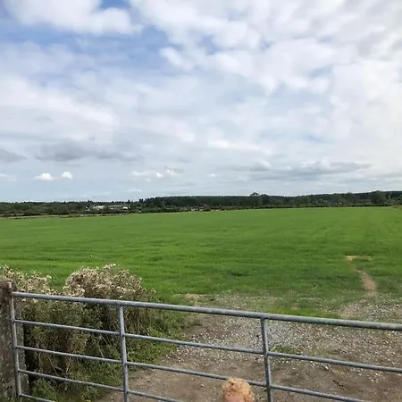 In The Countryside Tulsk